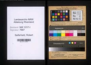 Entnazifizierung Robert Seiferheld , geb. 01.08.1899 (Gaertner)