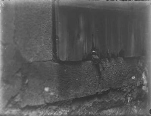 Gartenrotschwanz : Gartenrotschwanz (Phoenicurus phoenicurus L.) am Eingang der Nisthöhle.