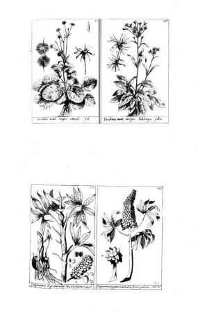 145-148