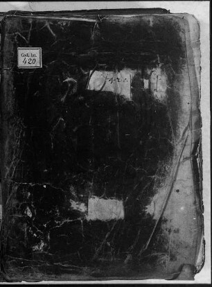 Vocabularius medicus - BSB Clm 420
