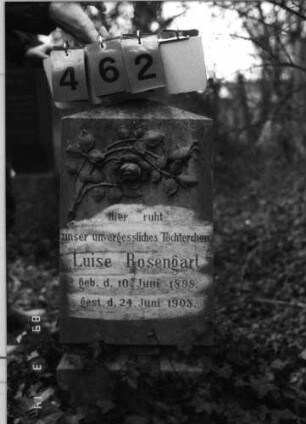 Grabstein 462 (Index: 100093179) Maße HxBxT: 76x35x13 cm Symbolik: Rosenzweig Besonderheit: Kindergrab: Grabstein 462