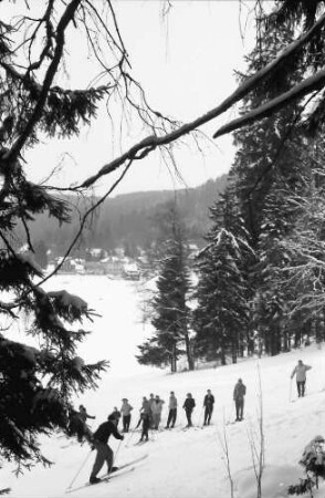 Hinterzarten: Skikurs; Hintergrund Wald