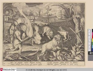 [Löwenjagd mit Netzen und Fackeln; Lion hunt with torches]