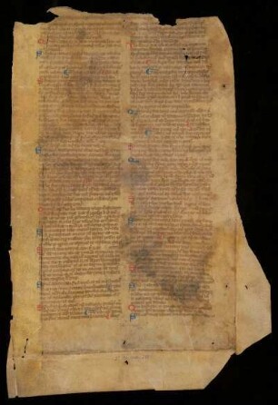 Casus Digesti veteris (Fragment)