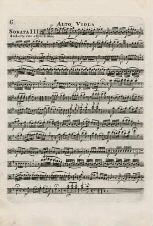 Alto Viola