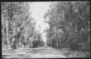 Port Hueneme, California. Eucalyptus Drive Between Oxnard and Huememe