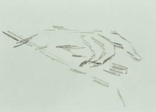 Handstudie