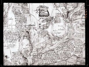 Ansicht 1607 in hohenlohischen Wildbannbeschreibung