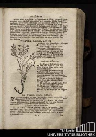 Cap. 181. Lein-Kraeuter, Linaria.