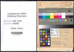 Entnazifizierung Grete Esser , geb. 19.09.1907 (Buchhalterin)