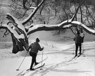 Dresden-Leutewitz. Skifahrer im Omsewitzer Grund