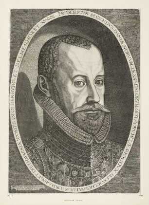 Bildnis Friedrich II. von Dänemark