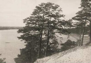 Grunewalder Forst. Blick von einer Anhöhe auf die von Bäumen teilweise verdeckte Havel