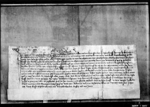 Agnes von Wunnenstein, Hennels sel. von Sternenfels Witwe, quittiert über Heimzahlung von Hauptgut.