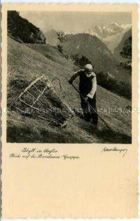 Alter Bauer bei der Heuernte