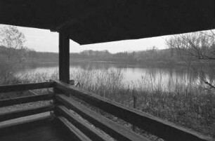 Naturschutzgebiet "Erlachsee" im Oberwald