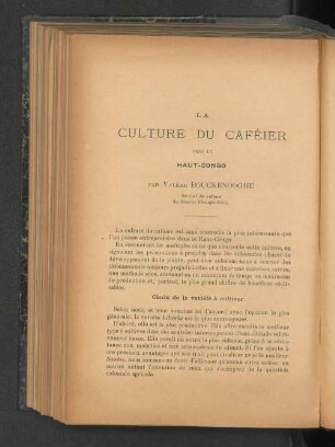 La Culture Du Caféier dans le Haut-Congo.