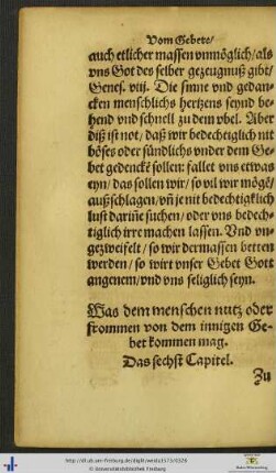 Das sechst Capitel