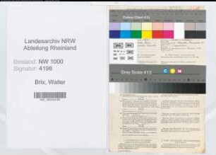 Entnazifizierung Walter Brix, geb. 25.06.1905 (Angestellter)