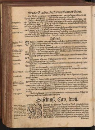 Haselnuß, Cap. LXVII