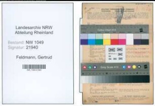 Entnazifizierung Gertrud Feldmann , geb. 29.07.1904 (Krankenpflegerin)