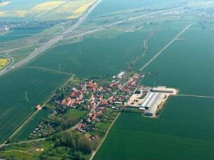 Thörey : Erfurter Kreuz