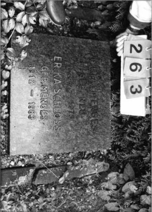 Grabstein 263