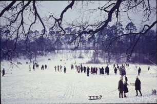 Berlin, Jagdschloss Grunewald, See im Winter.