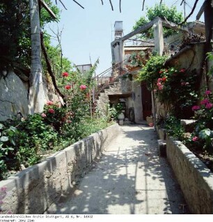 Kreta: Chania