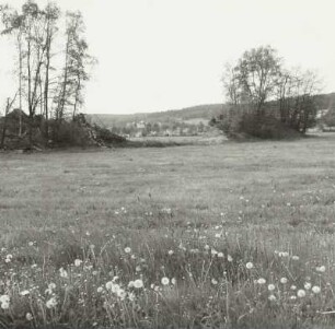 Altmannsgrün Kr. Auerbach, ehem. Staudamm mit Durchbruch