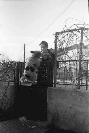 Bukarest: Pu und [Hund] Bobby, springt an der Haustür hoch, von oben