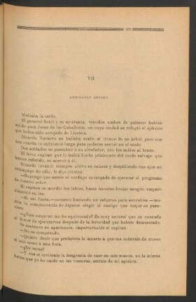 VII - Admirable arrojo