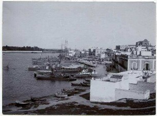 Brindisi