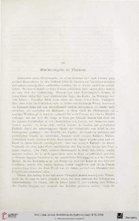 XII. Michelangelo in Florenz