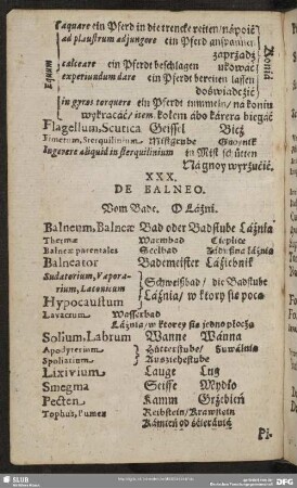 XXX. De Balneo