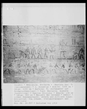 Mastaba des Ti — Zweiter Korridor — Relief