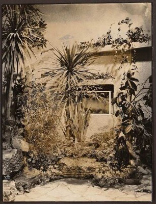 Fotoalbum: Deutsche Gartenbau- und Schlesische Gewerbe-Ausstellung (GUGALI), Liegnitz: Gewerbeausstellung, Innenansicht Ausstellungsgebäude: Detail Palme