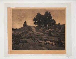 Heide-Landschaft