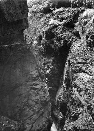Felsspalte (vielleicht in den Allgäuer Alpen)