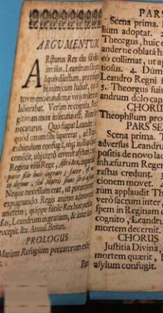Leander Mariani refugii typus : [Periocha]
