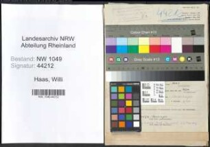 Entnazifizierung Willi Haas , geb. 15.07.1899 (Vertreter)