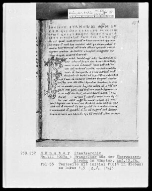 Evangeliar, fol. 55: Textseite mit Initiale F(uit in diebus) zu Lukas 1,5