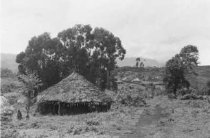 Gehöft der Amhara : Einzeln stehendes Gehöft der Amhara