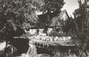 Leipe, Bauernhaus : Spreewald. Bauernhaus in Leipe mit Kürbishaufen vom Fließ aus gesehen