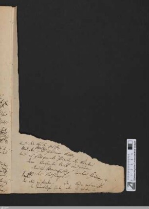 Rousseau : [Ausz.]; Verse 17-39; [StA 2,12/403] (Textbeginn Blatt 19r, Blatt 19v leer, Forts. auf den Blättern 20rv)