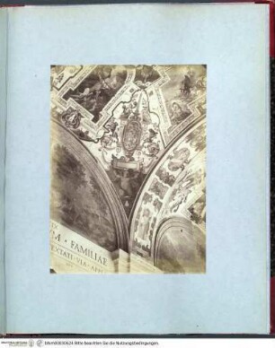 Rome peinture decorativeRom, Palazzo Lateranense, Detail der Deckendekoration der Hofloggia - Rotes Album II (vorwiegend Cappella Sistina, Farnesina)