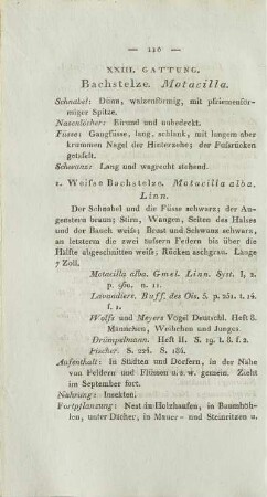 XXIII. Gattung. Bachstelze. Motacilla