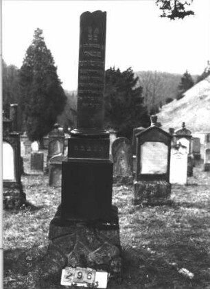 Grabstein 296 (Index: 100009318) Maße HxBxT: 210x40x40 cm Beschreibung: Grabstein in Form einer abgebrochenen Säule: Grabstein 296