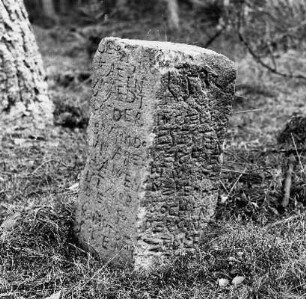 Grenzstein; Oberzent, Der Leegwald Bezirk ''Saubirn''