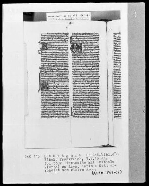 Lateinische Taschenbibel — Initiale V (erba Amos), darin erscheint Gott dem Hirten Amos, Folio 338verso